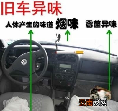 最后清除车内异味的简单方法