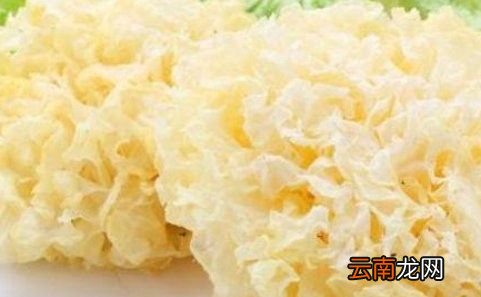 银耳一般需要浸泡多久