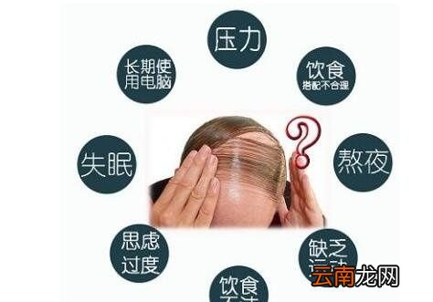 停止熬夜后脱发多久能恢复