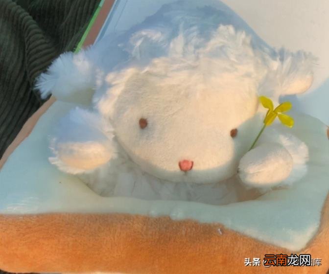 产品到货怎么发朋友圈 到货了怎样写才吸引人