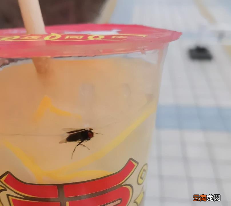 华莱士那么便宜能吃吗 华莱士为什么这么便宜