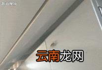 华莱士那么便宜能吃吗 华莱士为什么这么便宜