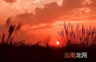 除夕有哪些禁忌