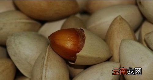 银杏开心果为什么是苦的