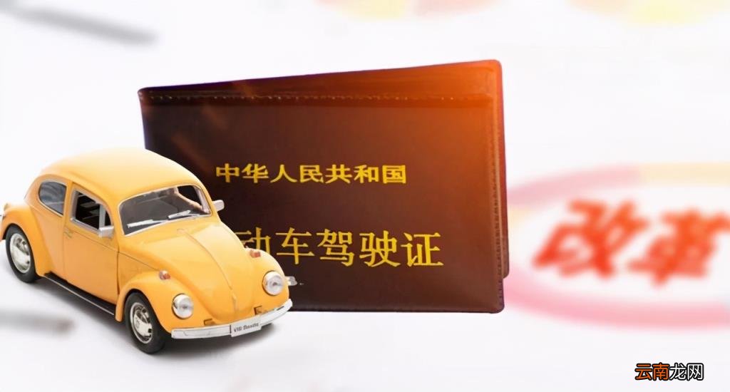 手机上怎么查驾照分 怎么查自己驾照还有多少分