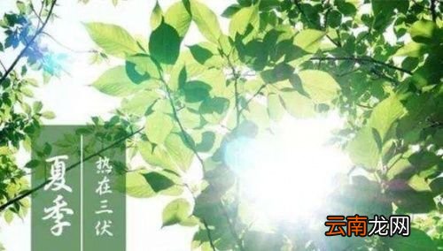 什么三九天什么三伏天