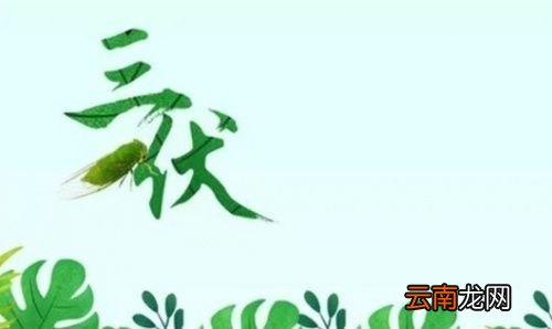 三伏是哪一天开始算起来的