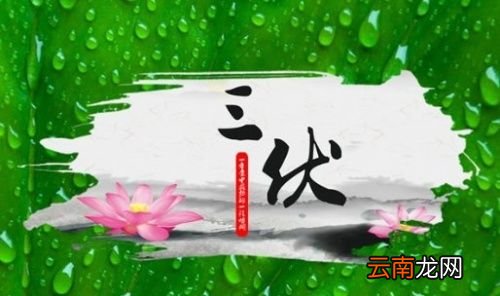 三伏是什么时候算起来的