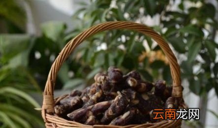 香肠一般挂几天放冰箱