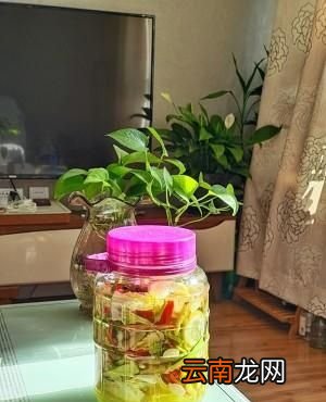 一晚即成 酸甜可口的泡菜的做法