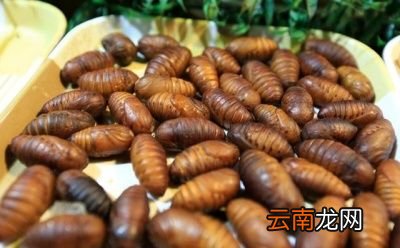 为什么有的猪肉闻起来有股骚味