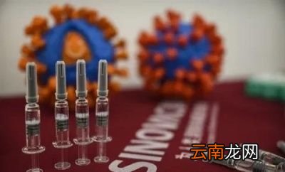 新冠病毒还需要多久才可以彻底消失呢