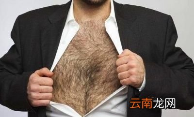 好男有福一身毛的意思是什么真的有道理么