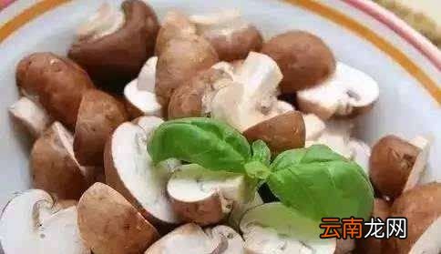 蘑菇不能和什么一起吃