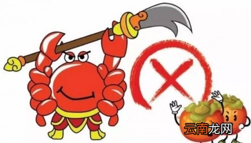 螃蟹柿子一起吃会怎么样