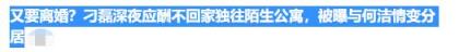 何洁现任丈夫 何洁老公是谁