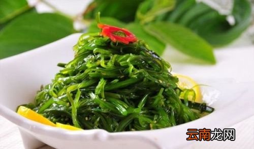 裙带菜与海带什么区别