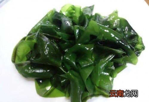 裙带菜与海带什么区别