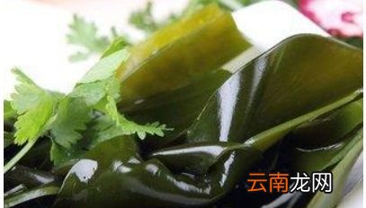 裙带菜与海带什么区别