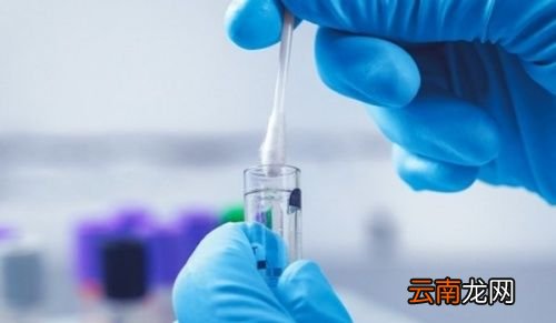 核酸检测结果怎么查询