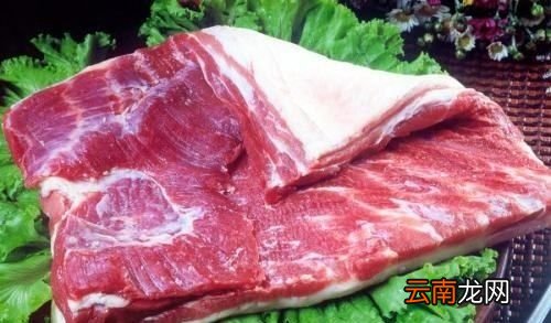 后腿肉和前腿肉哪个好吃