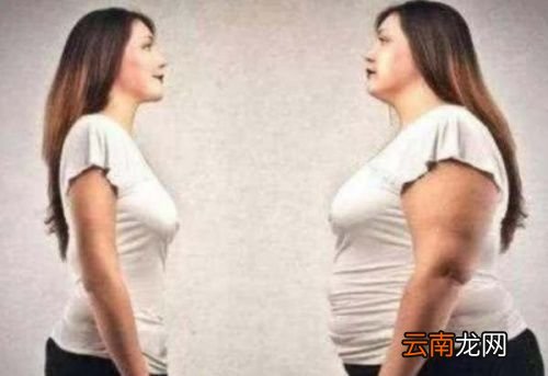 减肥能成功为什么增肥