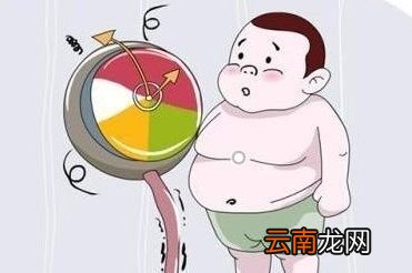 减肥能成功为什么增肥