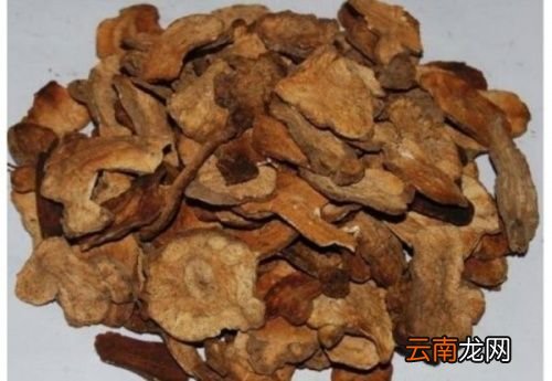 炒白术与生白术的区别