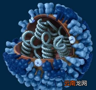 新冠疫苗的研发会不会最终以失败告终