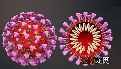 新冠疫苗的研发会不会最终以失败告终