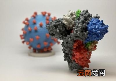 新冠疫苗的研发会不会最终以失败告终