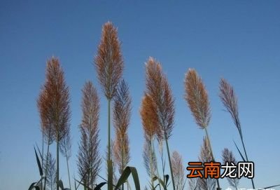 做好这几点痔疮不复发