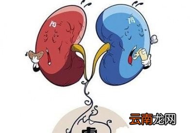 阴阳两虚先补哪个