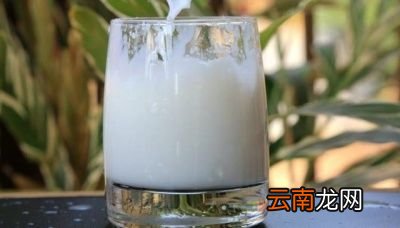 为什么不能把牛奶当成水