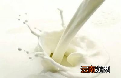一个人从出生就开始喝牛奶会怎样