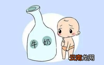 一个人从出生就开始喝牛奶会怎样