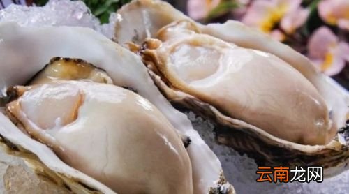 吃生蚝有什么忌口的吗
