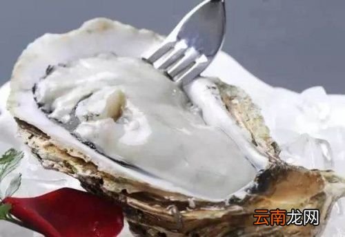 生蚝很腥为什么可以生吃