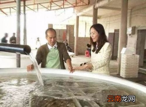 生蚝很腥为什么可以生吃
