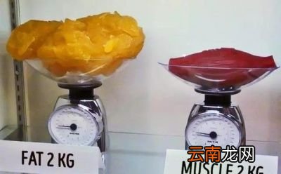 有氧无氧一起做的减脂效果为什么好