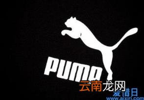 彪马属于什么档次的 puma是什么牌子