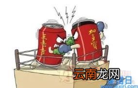 王老吉与加多宝之争案例分析 王老吉和加多宝哪个正宗