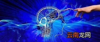 入睡困难和容易醒到底是哪里出了问题