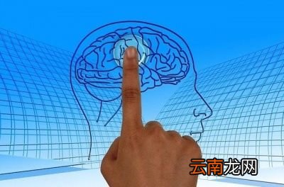 入睡困难和容易醒到底是哪里出了问题
