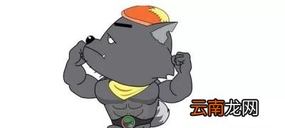 脾肾阳虚的人怎么调理