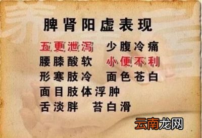 脾肾阳虚的人怎么调理
