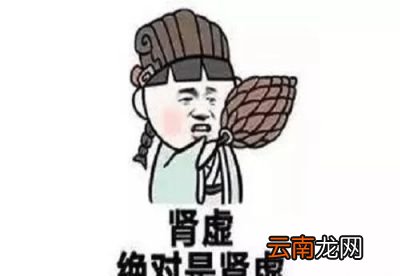脾肾阳虚的人怎么调理