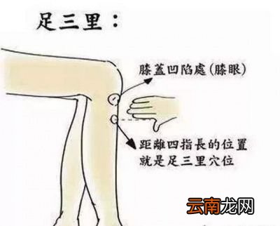 脾肾阳虚的人怎么调理