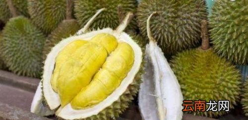 榴莲真的有那么多禁忌吗