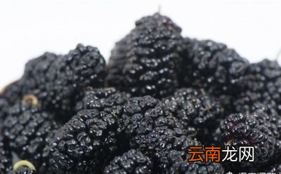 贫血和血虚的区别